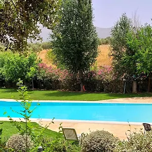https://hotel-bodega-el-juncal.es-andalucia.com